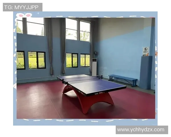 从零基础到高手之路乒乓球个人能力提升全方位指南 从零基础到高手之路乒乓球个人能力提升全方位指南