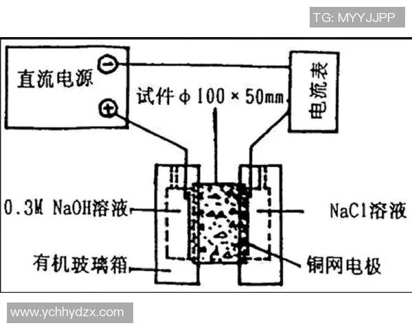 上海排球队边路渗透战术分析及其对比赛结果的影响探讨 上海排球队边路渗透战术分析及其对比赛结果的影响探讨