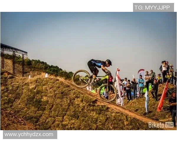 国际邀请赛分析：TES团队协作与战术执行的精彩表现