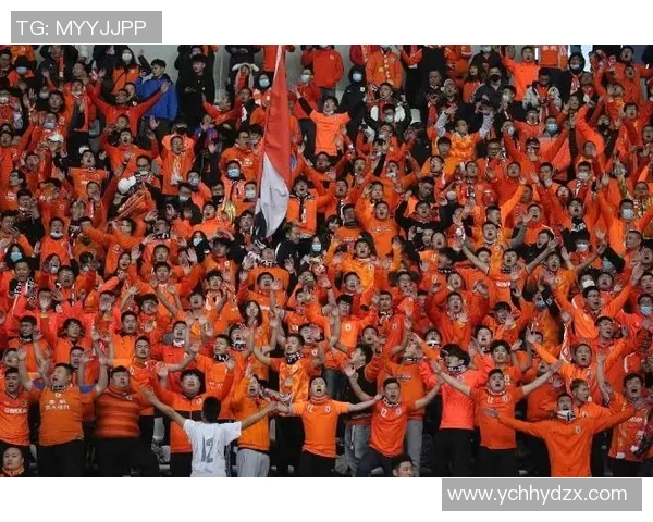 德国与瑞士足球对决结果揭晓引发球迷热议