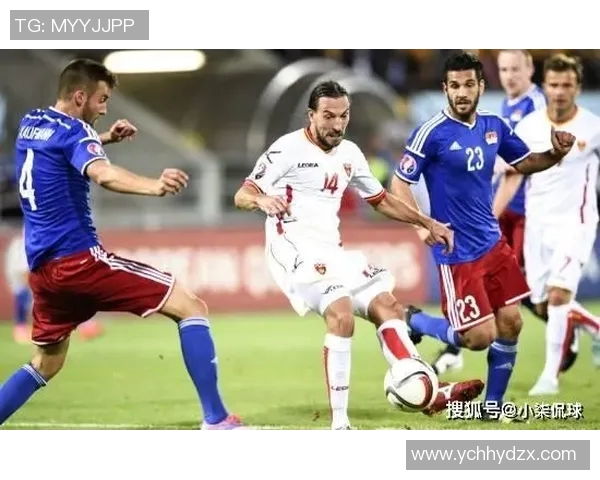 新西兰与黑山世界杯对决精彩回顾与赛后分析