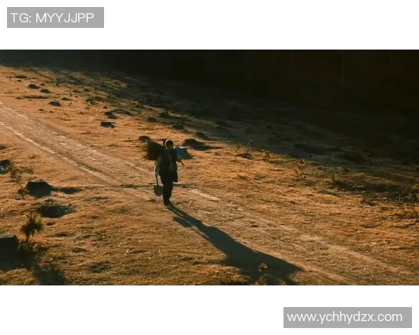 麦卡利斯特的传奇之路：从草根到巅峰的奋斗与荣耀