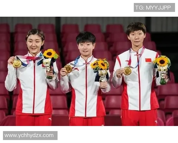 南京乒乓球队技术分析与发展探讨聚焦乒乓球运动的未来趋势与挑战