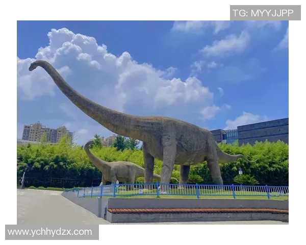 探秘索博斯洛伊的历史与文化魅力，揭开这座城市的神秘面纱