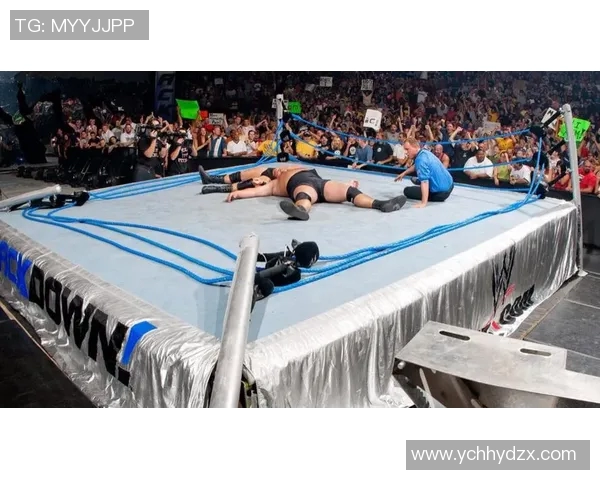 莱斯纳与米尔1的巅峰对决谁将成为胜者的传奇之战