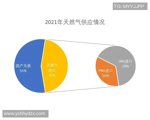 数据分析视角下LNG个人能力表现的全面评估与提升策略探讨